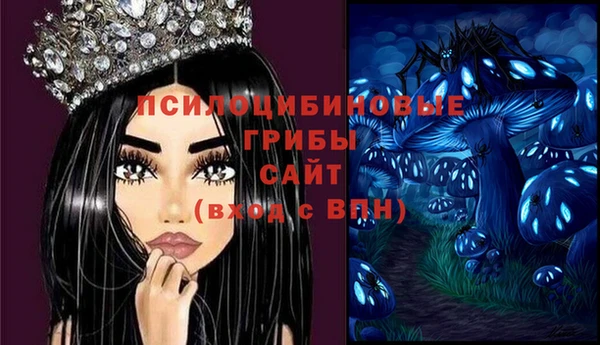 винт Алзамай