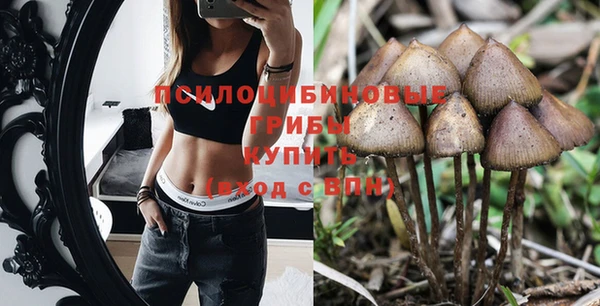 винт Алзамай